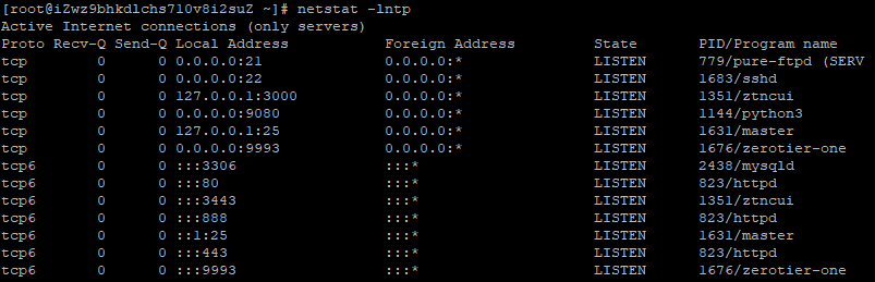 用netstat查看网络连接及程序信息